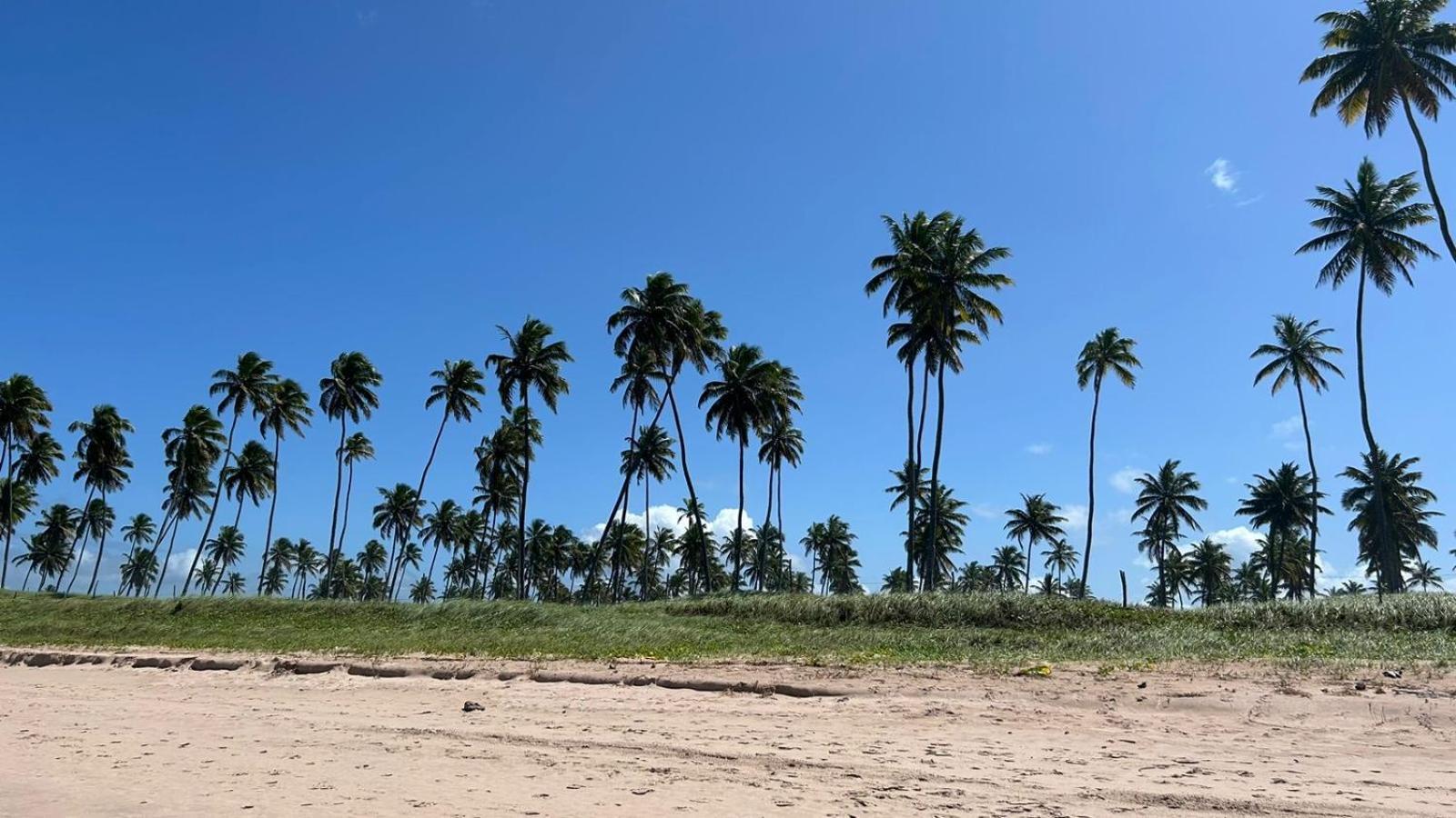 Charmoso Flat Cupe Living - Beira Mar *